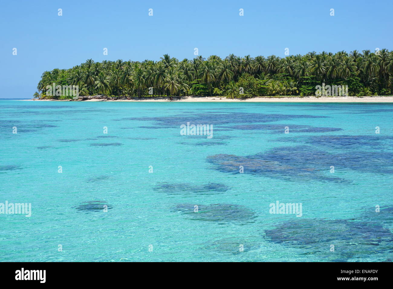 Türkisfarbenes Wasser mit Korallen unter der Meeresoberfläche und eine unberührte tropische Insel im Hintergrund, Karibik, Cayos Zapatilla, Panama Stockfoto