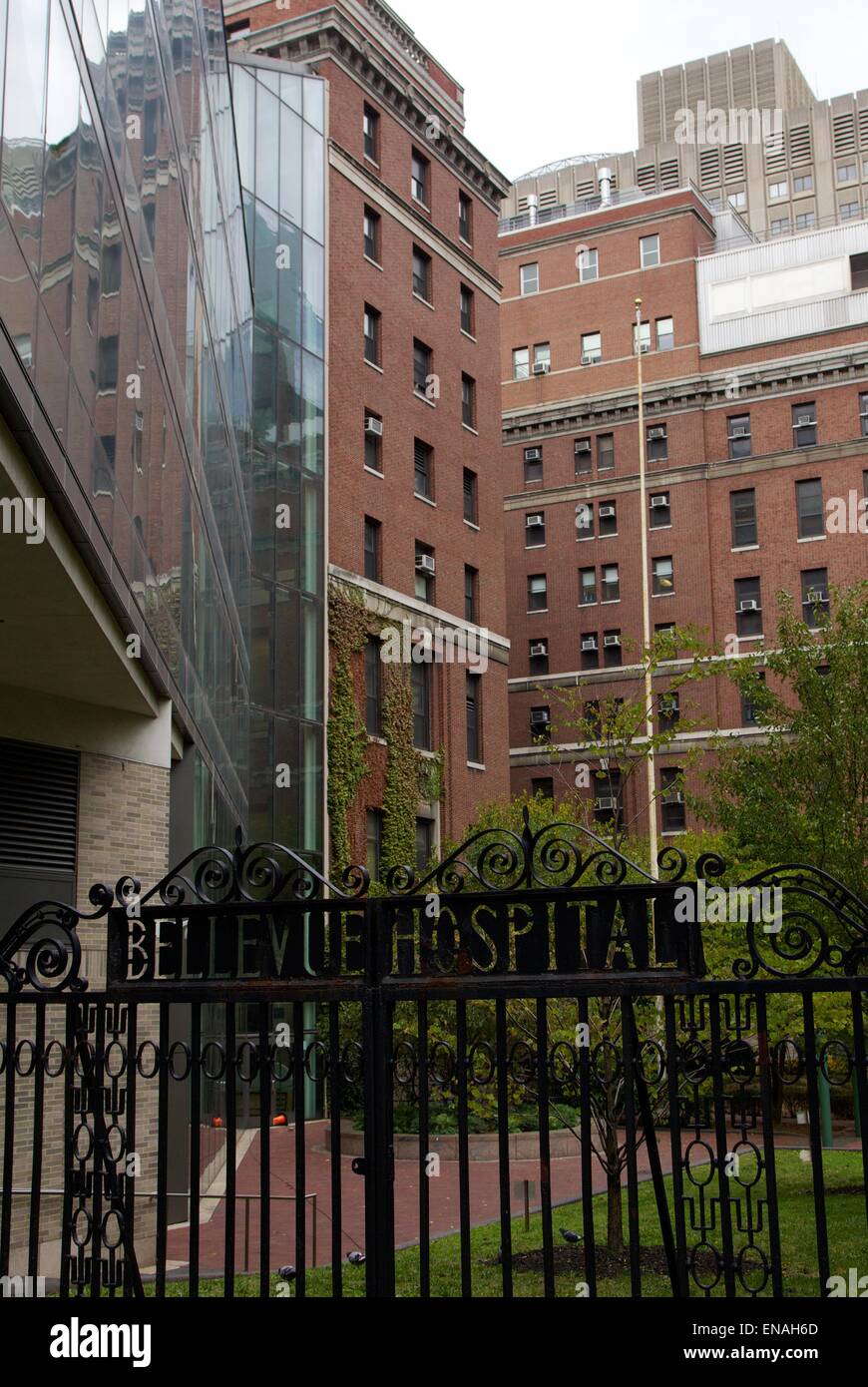 Mayor de Blasio Gastgeber Pressekonferenz Update New Yorker auf den Patienten am Bellevue Krankenhaus wo: New York City, New York, USA bei: 26. Oktober 2014 Stockfoto