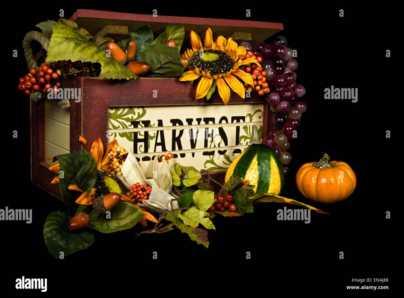 Holz-Box mit herbstlichen Früchten und Blumen auf schwarz. Stockfoto