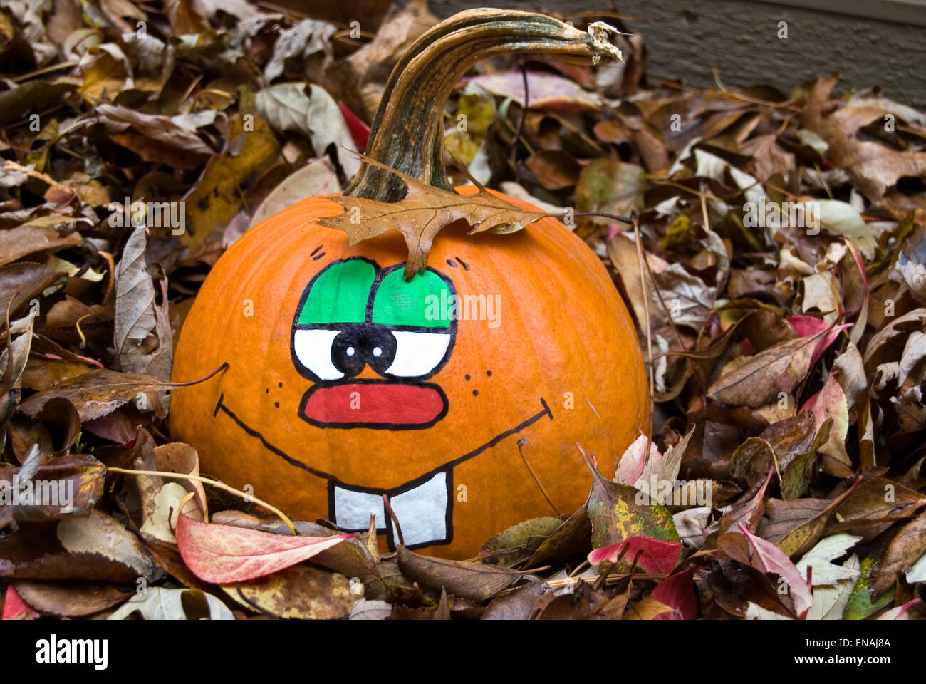 Lustiges Gesicht gemalt auf einen Herbst Kürbis in einem Haufen von getrockneten Blättern. Stockfoto