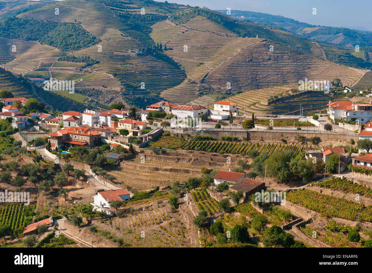 Portwein Weinberge, Alto Douro, Tras-os-Montes, Portugal, UNESCO-Weltkulturerbe Stockfoto