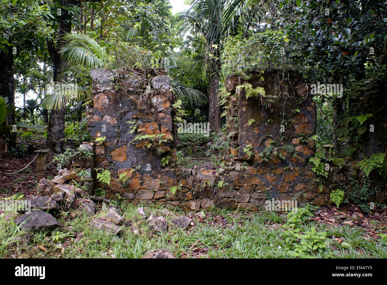 Wilde Vegetation bedeckt Ruinen einer Internat von Missionaren im Jahr 1876 errichtet, um die Kinder der befreiten Sklaven in der Mission Ruinen von Venn Stadt auf der Insel Mahe im Süd-westen der Morne Seychellois Nationalpark Republik der Seychellen liegt zu erziehen Stockfoto