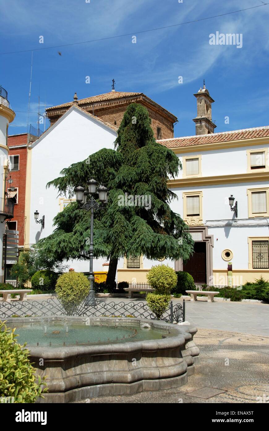 Ansicht der Syntagma-Platz mit dem San Juan de Dios Hospital und der Kirche auf der Rückseite, Priego de Cordoba, Spanien. Stockfoto