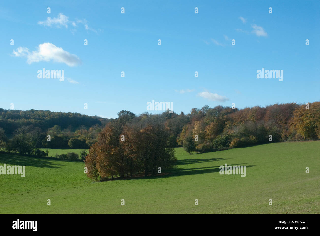 Englische Landschaft im Herbst Stockfoto