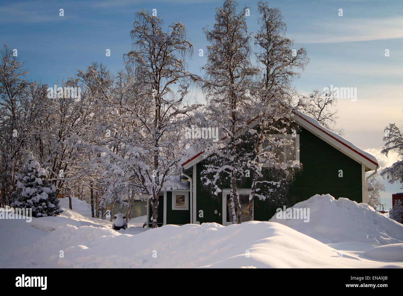 Winter-Szene zeigt ein grünes Haus und Bäume mit Schnee und blauer Himmel in Kiruna, Schweden Stockfoto