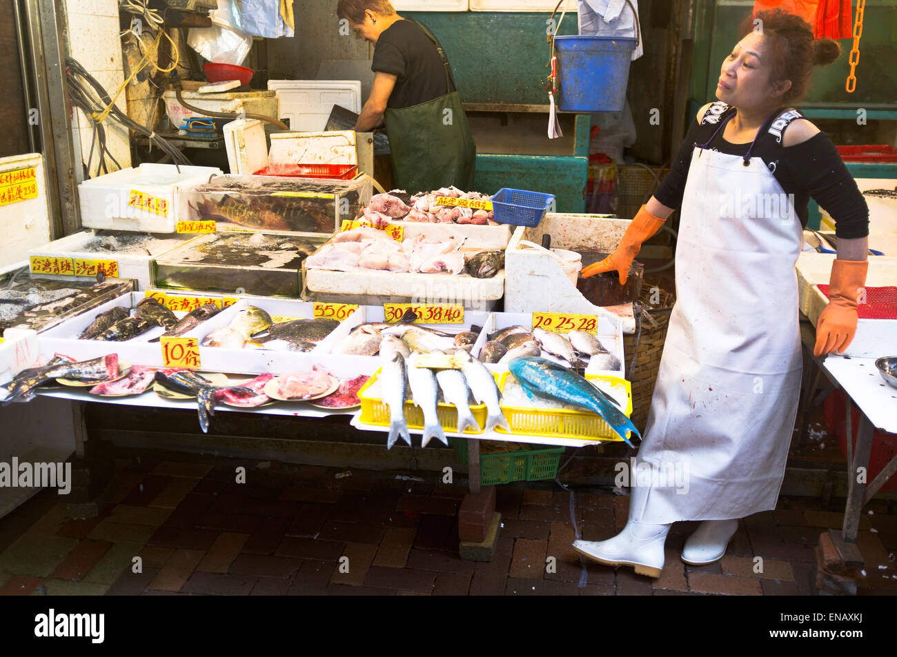 dh Lebensmittelmarkt CAUSEWAY BAY HONGKONG Fischmarkt Stand Halter Anbieter nassen Märkten asiatischen china Stockfoto