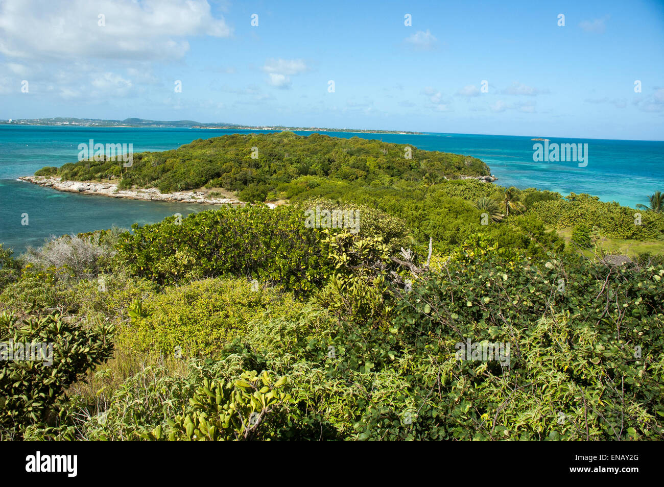 Great Bird Island ist eine kleine Insel fast drei Kilometer vor der Nordost-Küste von Antigua in der Karibik. Stockfoto