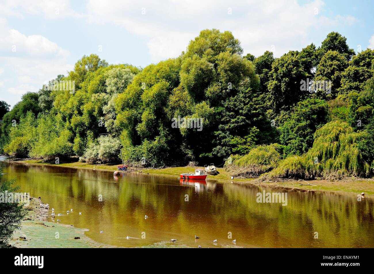 Blick entlang den Fluss Dee mit Boote vertäut am Ufer, Chester, Cheshire, England, Vereinigtes Königreich, West-Europa. Stockfoto