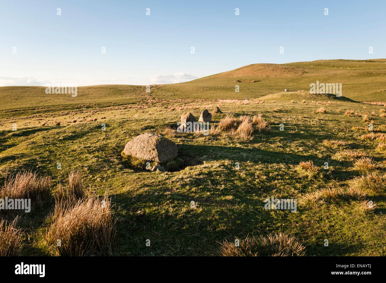 In der Nähe von neuen Radnor, Powys, Wales, UK. Bryn-y-Maen (Pedwar Maen) Jungsteinzeit Stein Rudern und runden Grabhügel oder tumulus Stockfoto