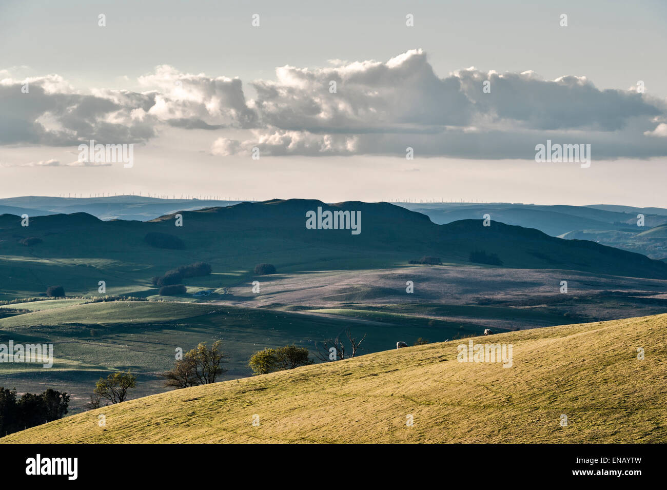 Ein abendlicher Blick in Richtung Westen in Richtung Llandrindod Wells und Penybont in mittlerer Wales, Großbritannien, mit Windturbinen, die entlang des gesamten Horizonts sichtbar sind Stockfoto