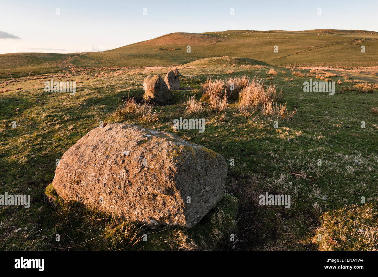 In der Nähe von neuen Radnor, Powys, Wales, UK. Bryn-y-Maen (Pedwar Maen) Jungsteinzeit Stein Rudern und runden Grabhügel oder tumulus Stockfoto