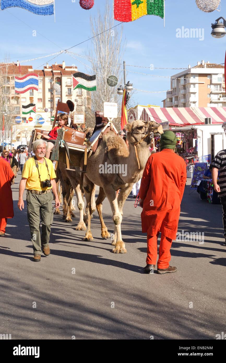 Dromedar, arabischen Kamel, Camelus Dromedarius auf internationale Messe für Fahrt, Andalusien, Spanien zu vermieten. Stockfoto