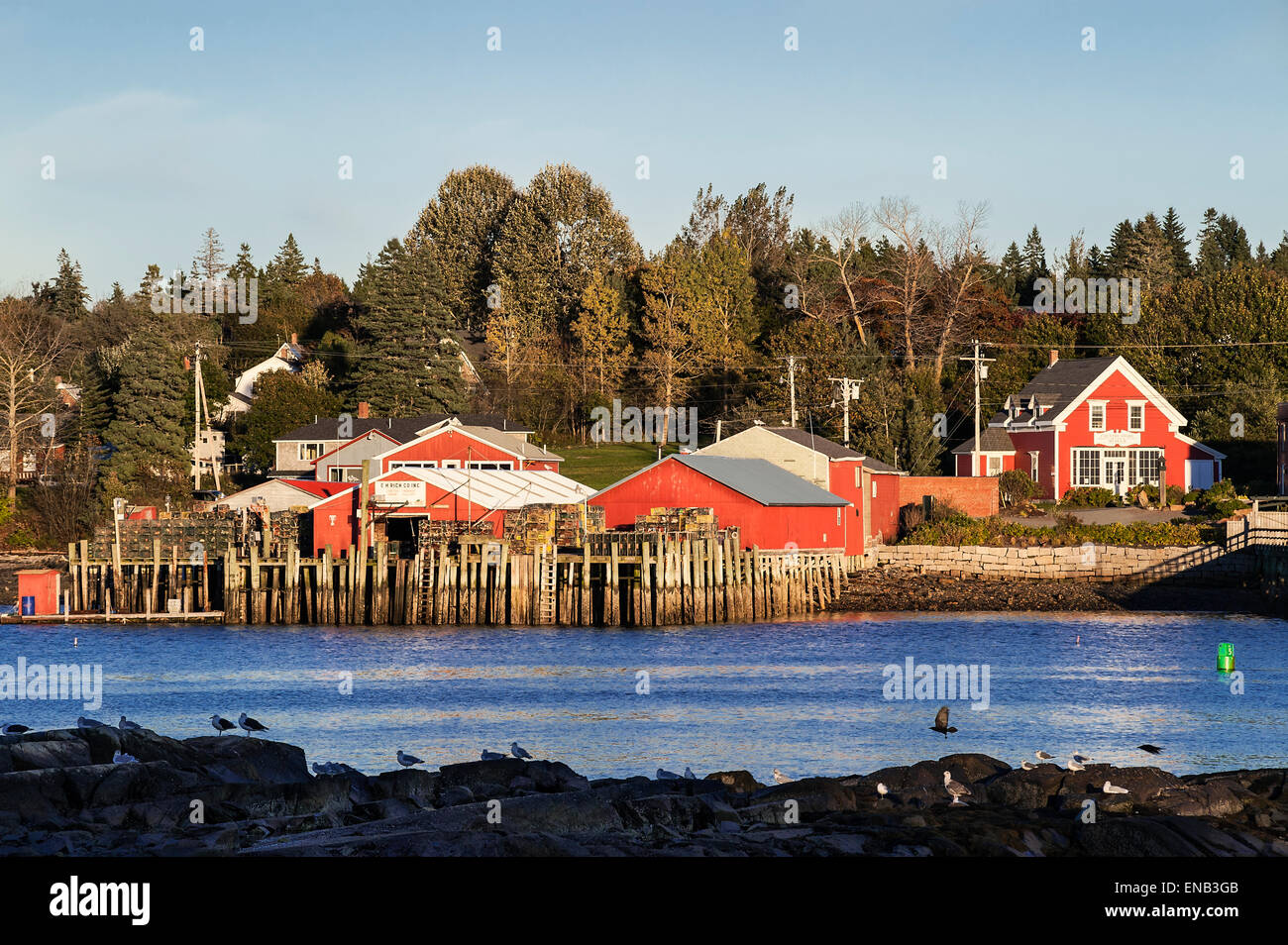 Hummer-Pier und Markt, Bass Harbor, Maine, USA Stockfoto