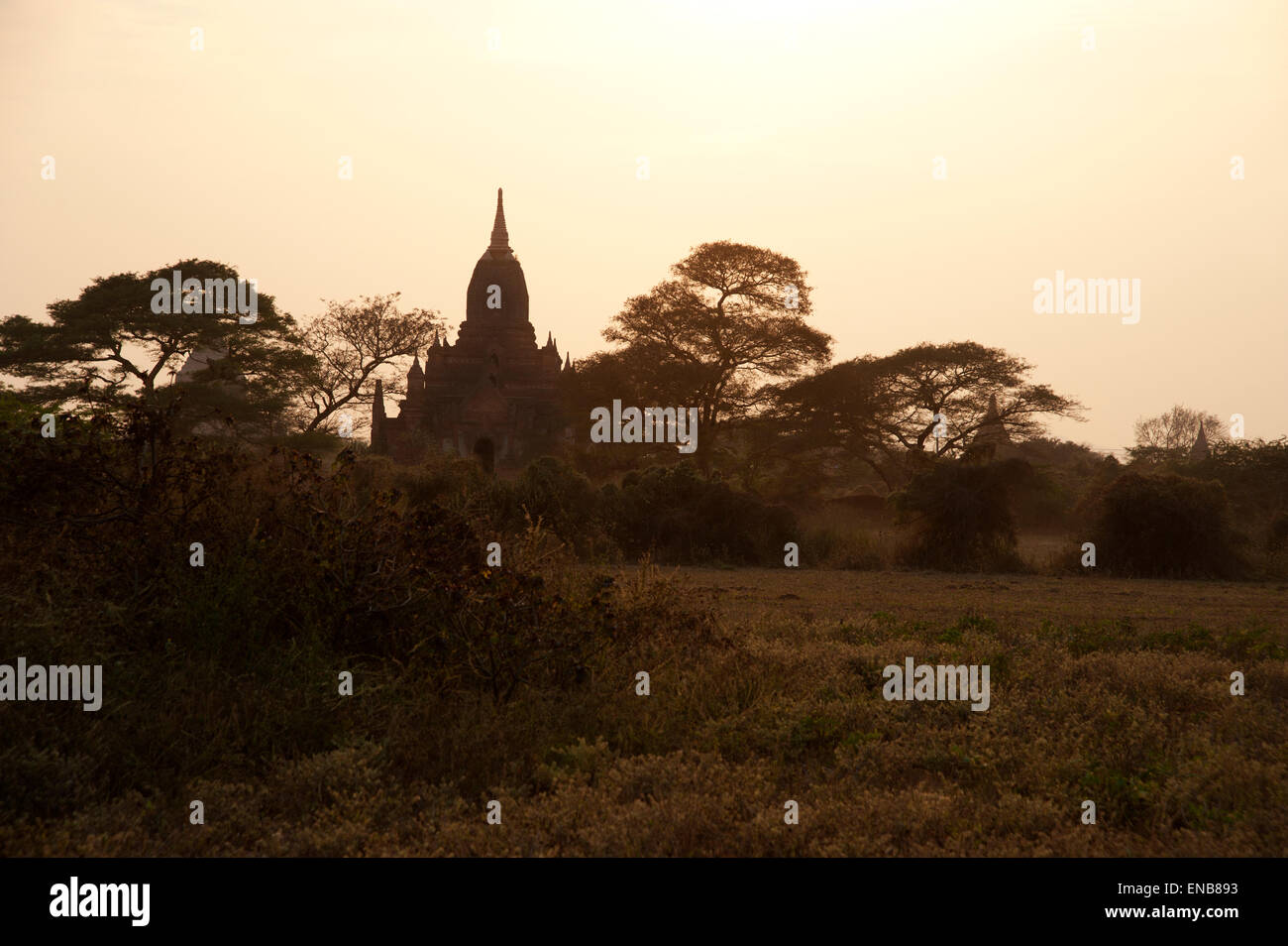 Einem einzigen dunklen Tempel Turm und Bäume Silhouette gegen den gelb leuchtenden Sonnenuntergang Himmel Bagan Myanmar Stockfoto