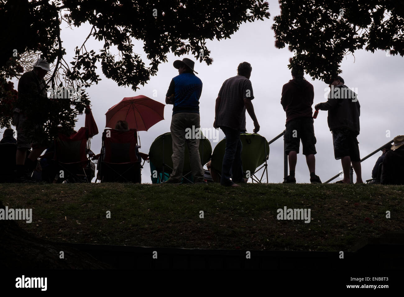 Zuschauer bei einem Cricket-Match in der Becken-Reserve an Wellington, Neuseeland. Stockfoto