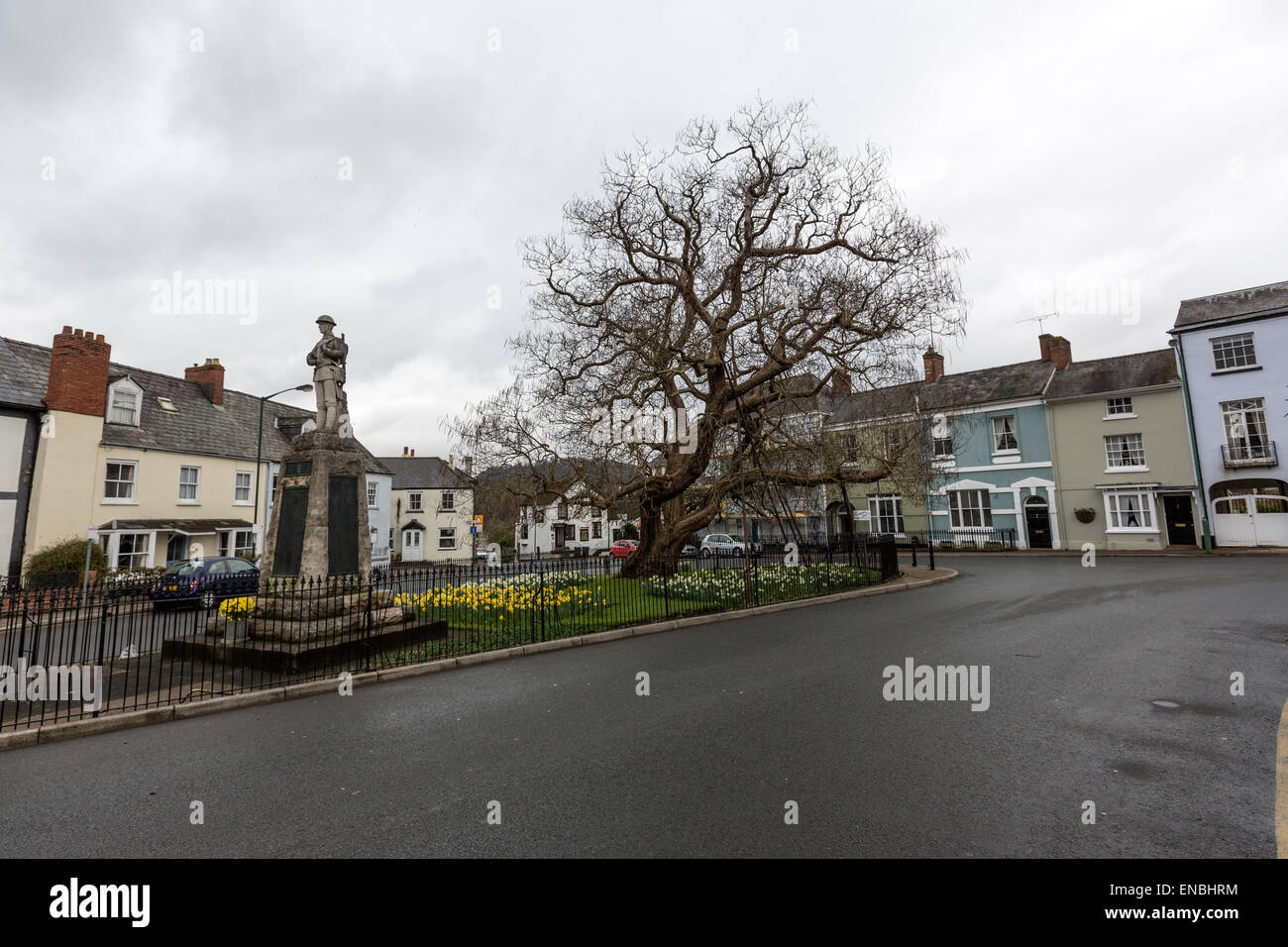 St. Jame Square und indischen Bean Tree, Monmouth, Gwent, Großbritannien Stockfoto