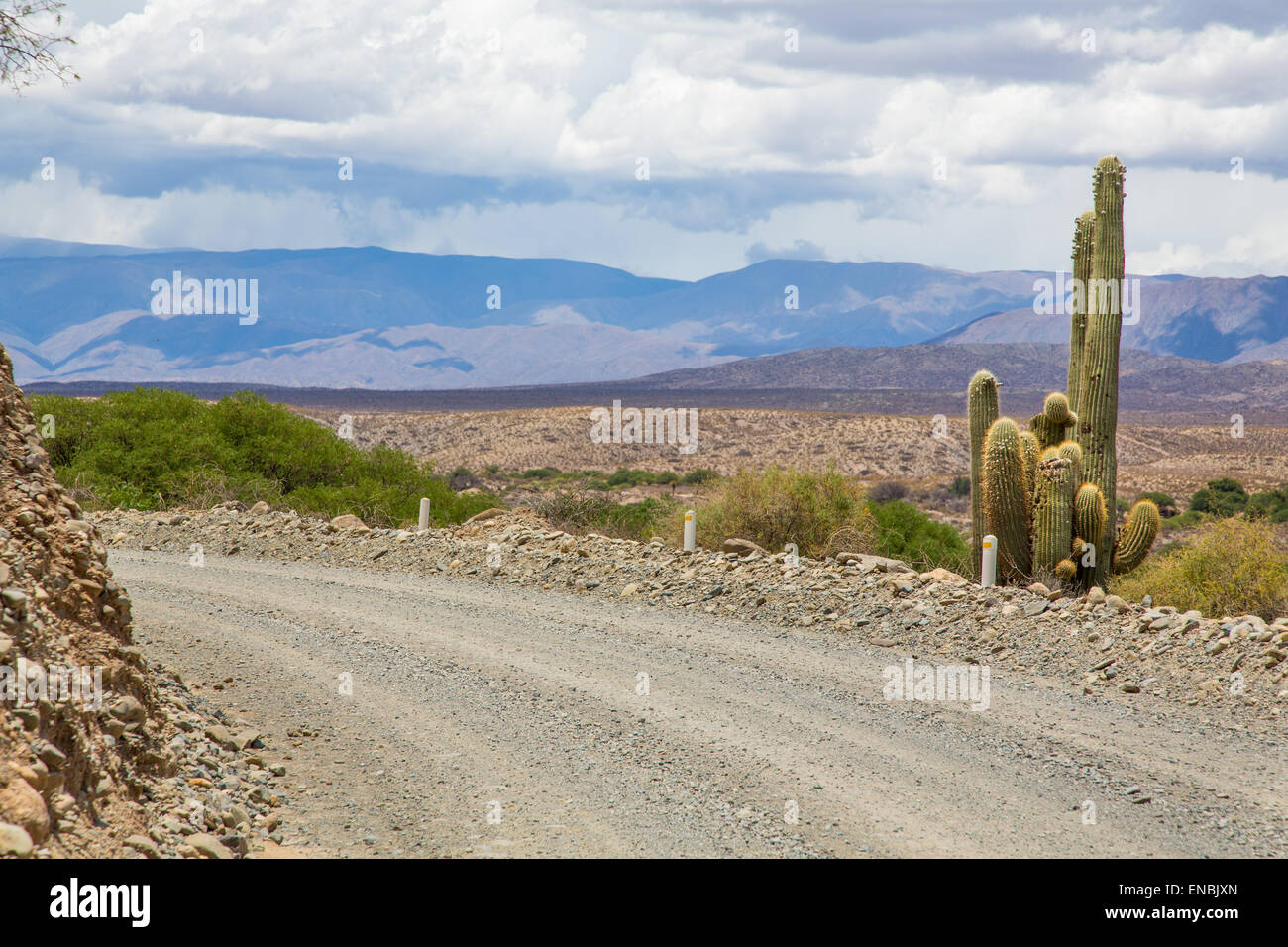 Straße nach Seclantas. Valles Calchaquies, Salta, Argentinien. Stockfoto