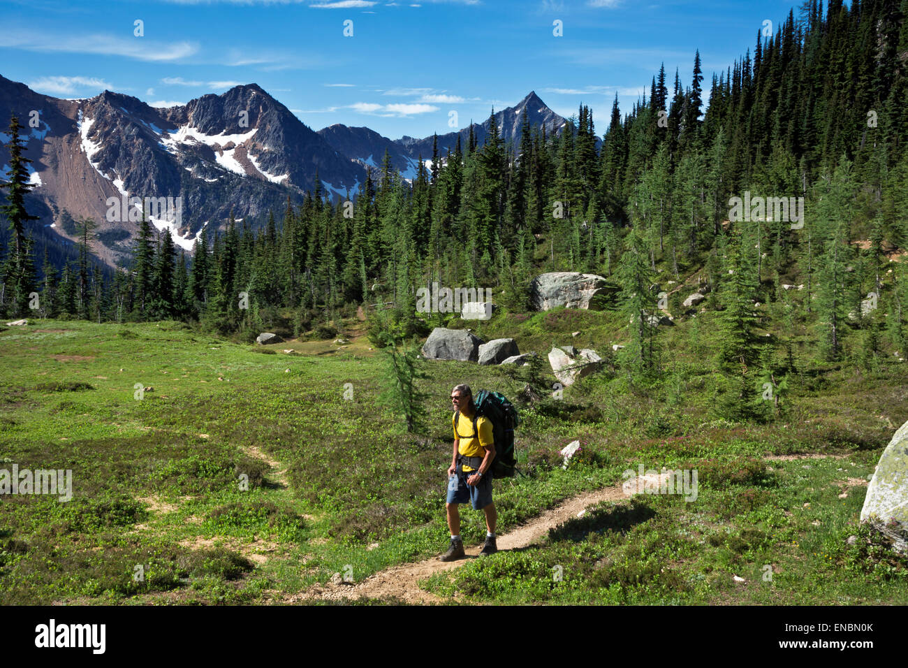 WASHINGTON - kleine Wiese und Campingplatz auf dem Pacific Crest Trail nördlich Methow Pass in den North-Cascades. Stockfoto