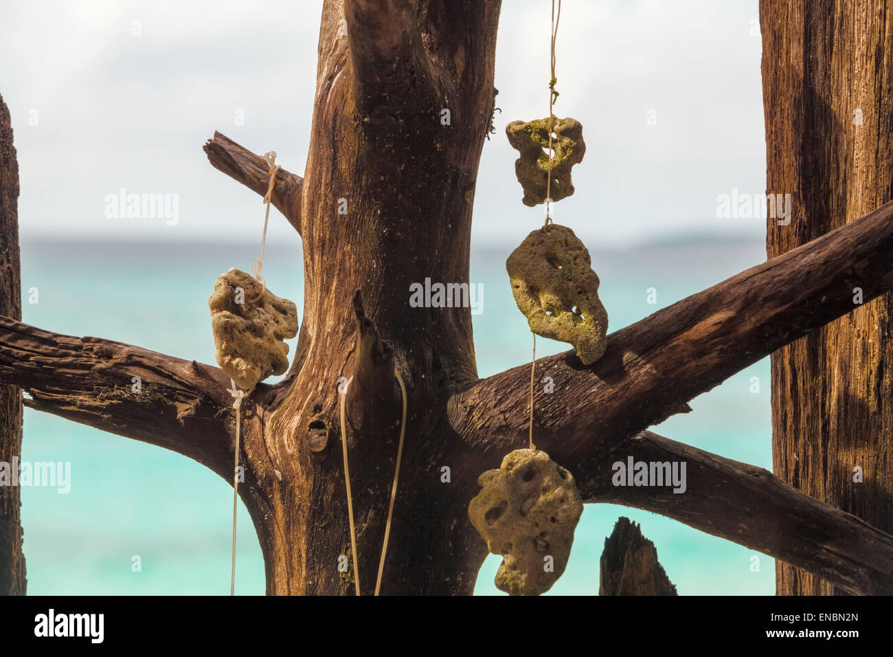 Komposition mit Holz mit dekorativen Muscheln und Korallen und blaues Meer, Philippinen Boracay island Stockfoto