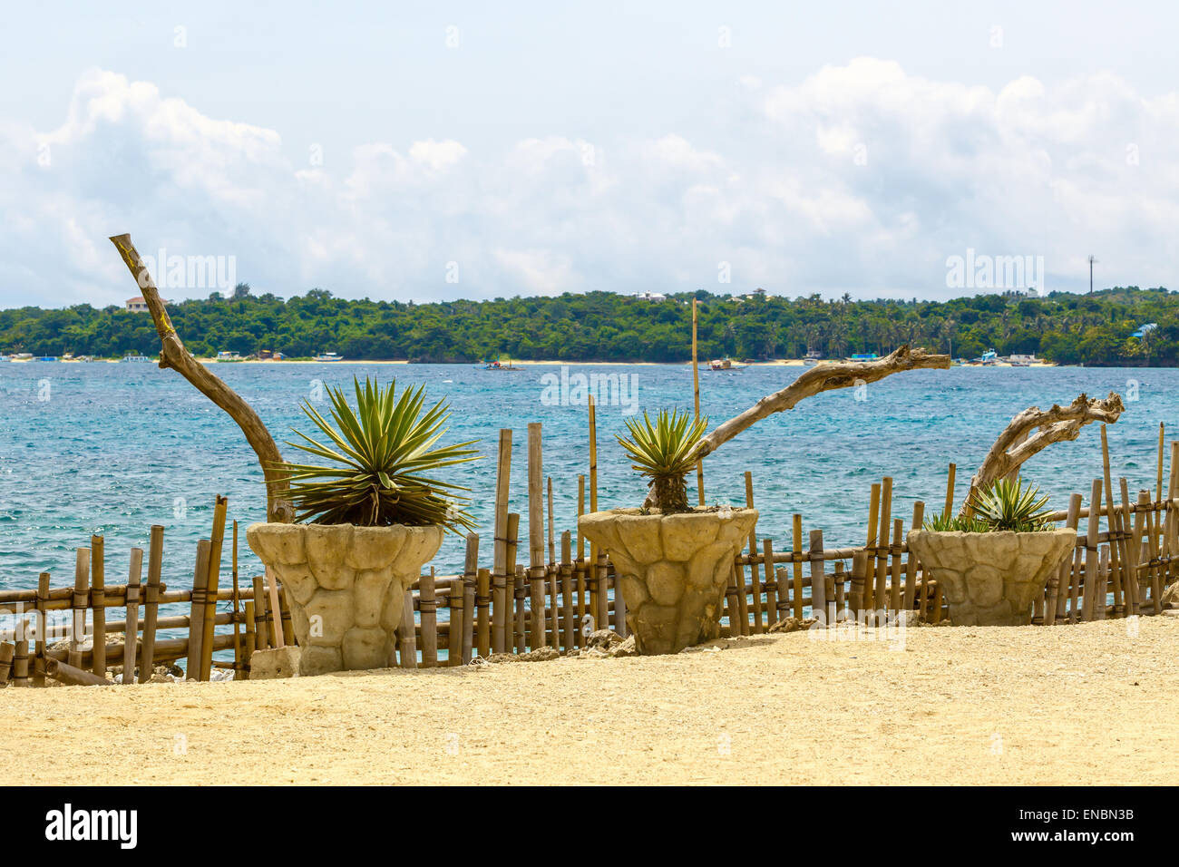 Grüne Pflanzen mit Aloe Vera und Palmen und blaues Meer, Philippinen Boracay island Stockfoto