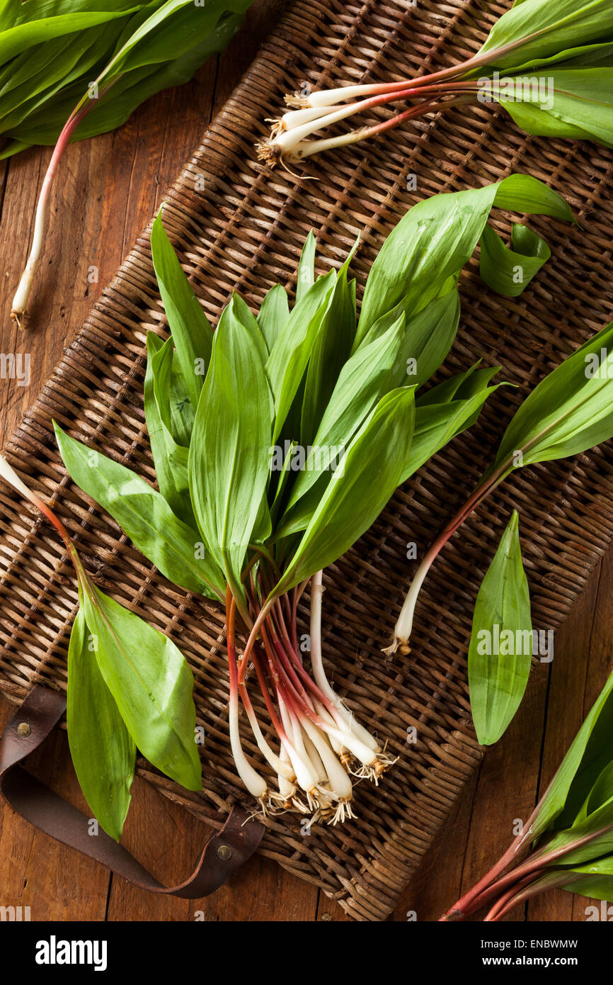 Rohe Bio grüne Rampen Ready to Cook mit Stockfoto