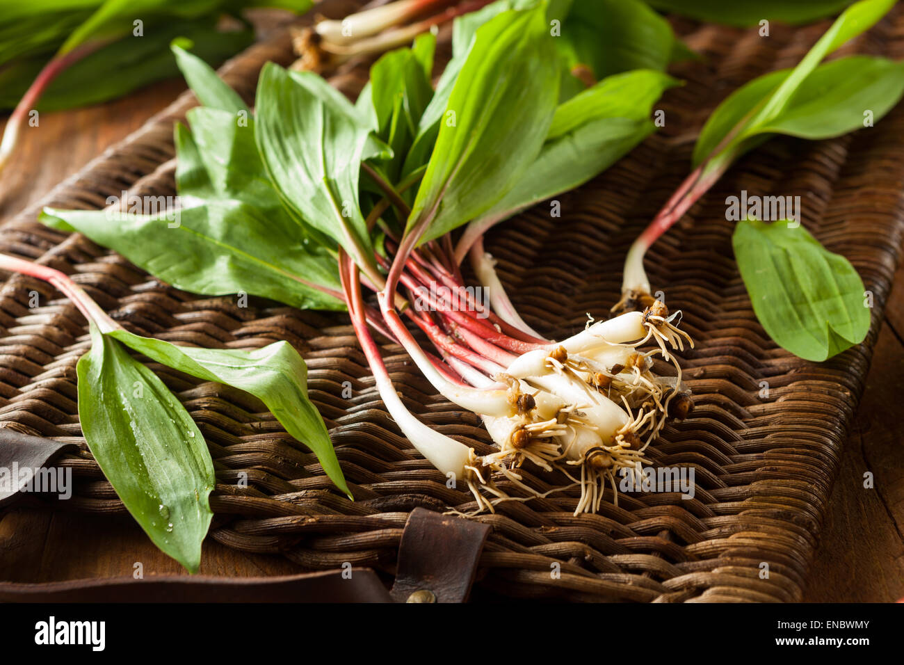 Rohe Bio grüne Rampen Ready to Cook mit Stockfoto