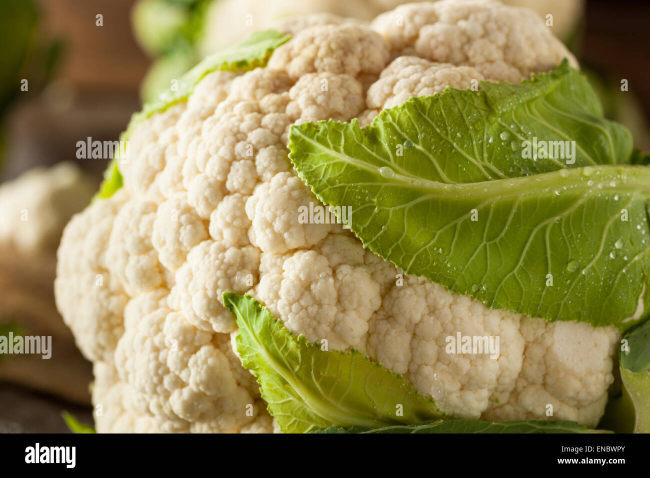 Blumenkohl ernte Fotos und Bildmaterial in hoher Auflösung Alamy