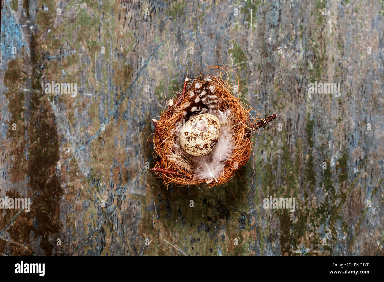 Easter Egg Nest auf rustikalen hölzernen Hintergrund Stockfoto