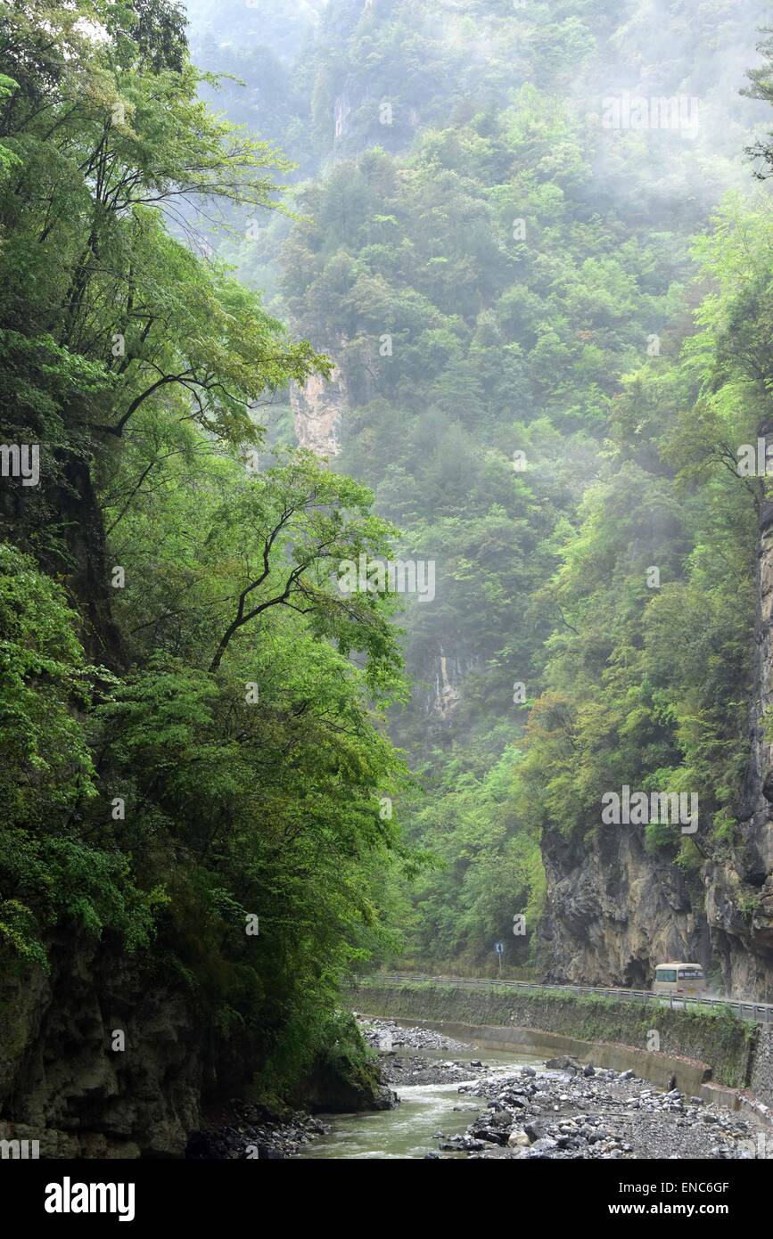 Shennongjia. 1. Mai 2015. Foto aufgenommen am 1. Mai 2015 zeigt die Landschaft des Bezirks Shennongjia Forstwirtschaft der zentralen chinesischen Provinz Hubei. Shennongjia ist berühmt für seine nationale Naturreservat und Feuchtgebieten sowie hohen Pflanzenvielfalt. Shennongding, ist mit einer Höhe von 3105,4 Metern der höchste Berg in Zentralchina. © Du Huaju/Xinhua/Alamy Live-Nachrichten Stockfoto