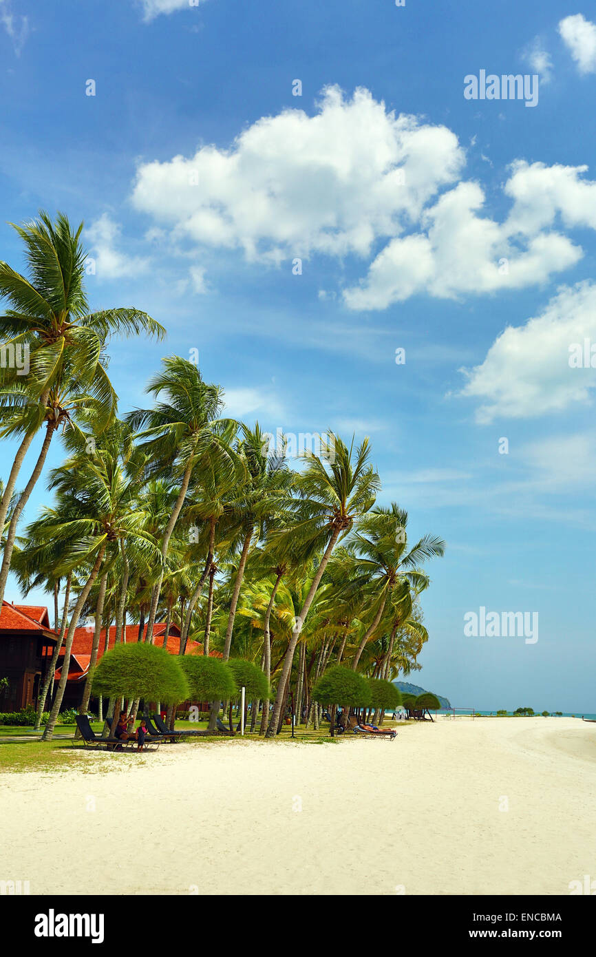 Tropischen Sandstrand mit Palmen in Pantai Cenang, Langkawi, Malaysia Stockfoto