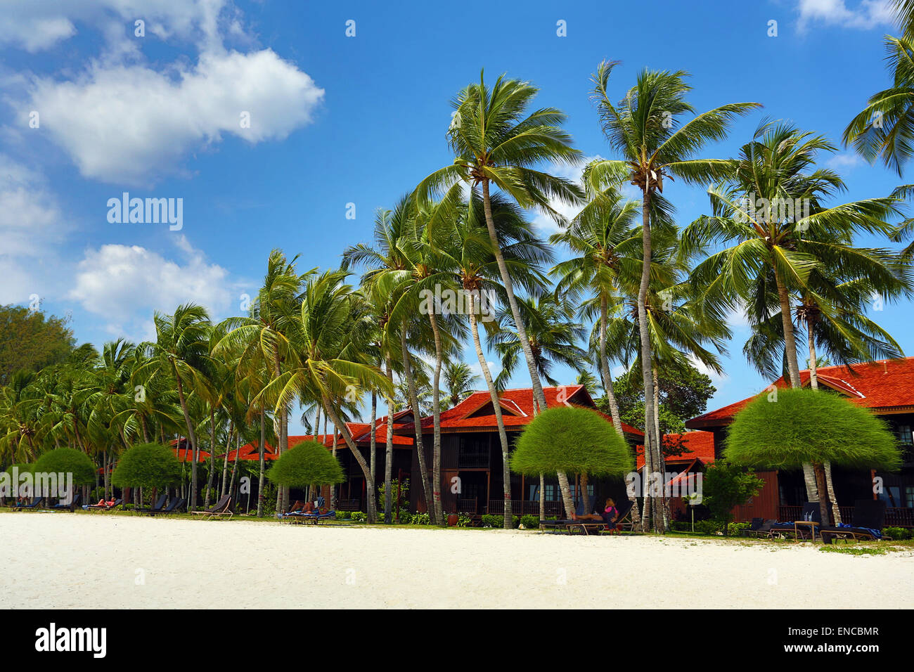 Tropischen Sandstrand mit Palmen in Pantai Cenang, Langkawi, Malaysia Stockfoto