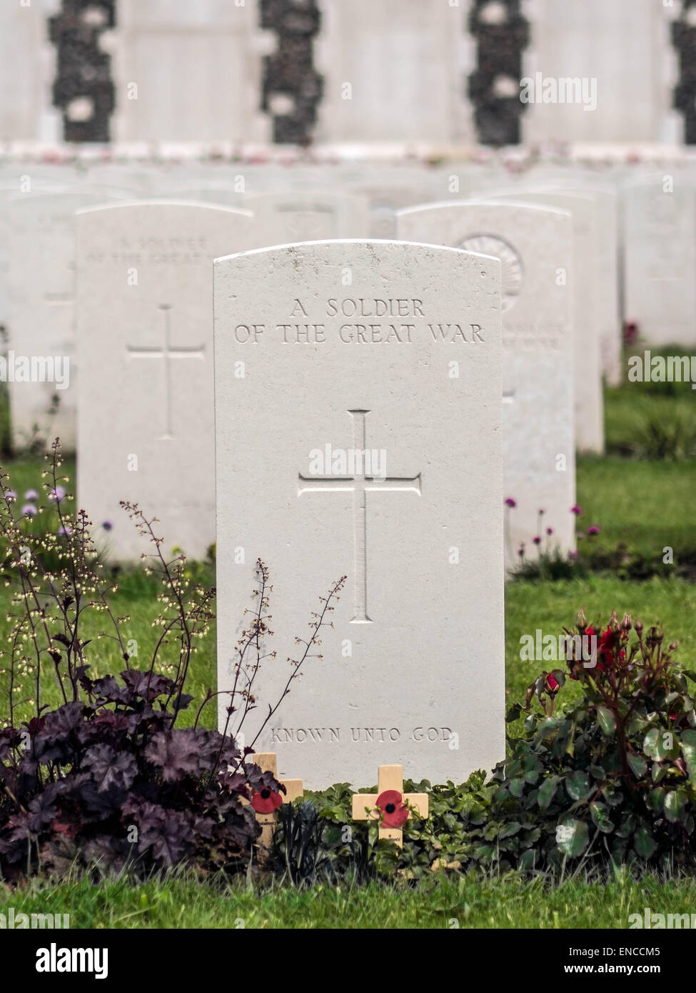 YPERN, BELGIEN - 25. MAI 2014: Grabsteine auf dem Tyne Cot Memorial Cemetery des 1. Weltkriegs in Flandern Belgien Stockfoto
