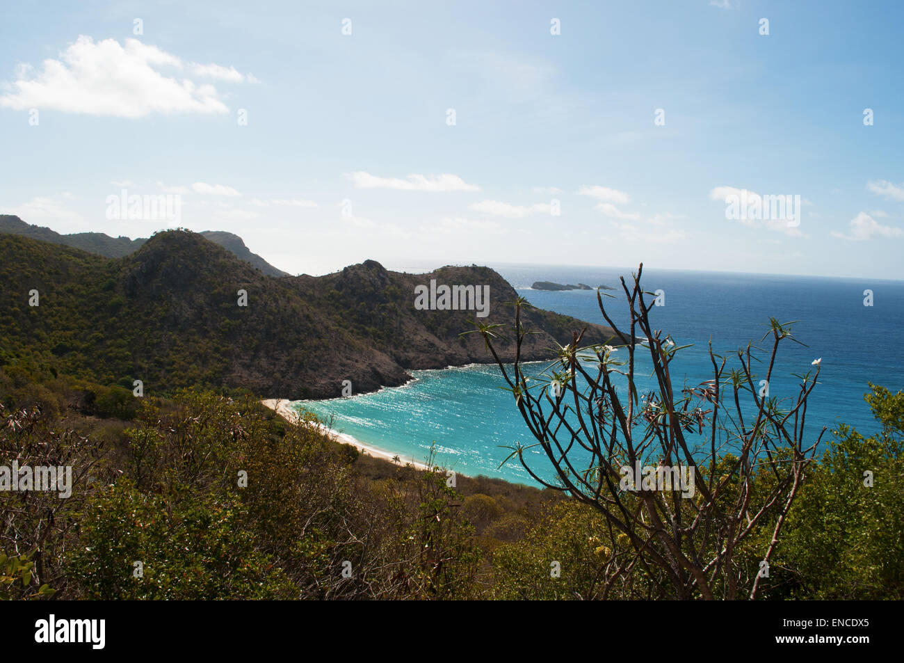 St Barth, St. Barths, Saint-Barthélemy, Französische Antillen, Französische Antillen: das Karibische Meer und die Aussicht auf den Strand von Gouverneur Stockfoto