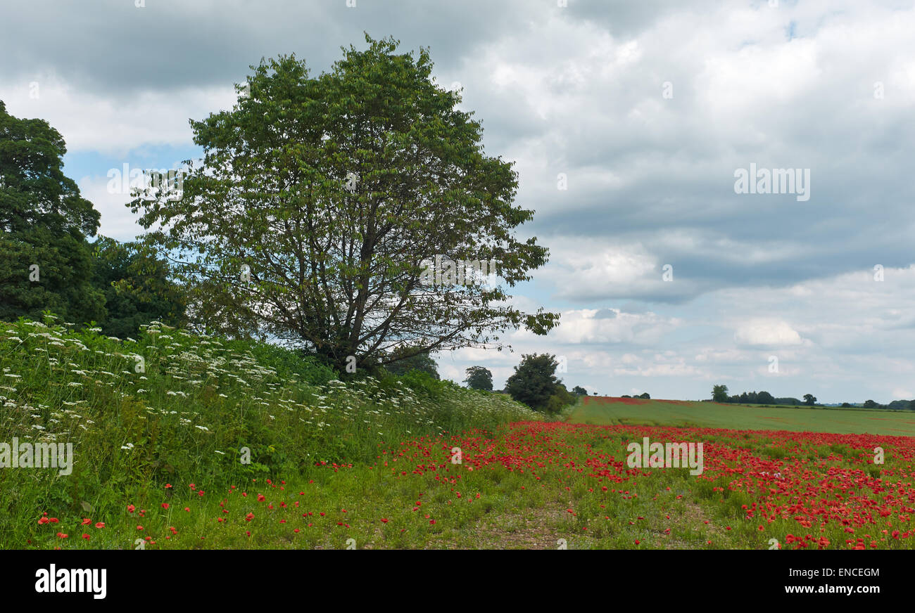 Osmaston park -Fotos und -Bildmaterial in hoher Auflösung – Alamy