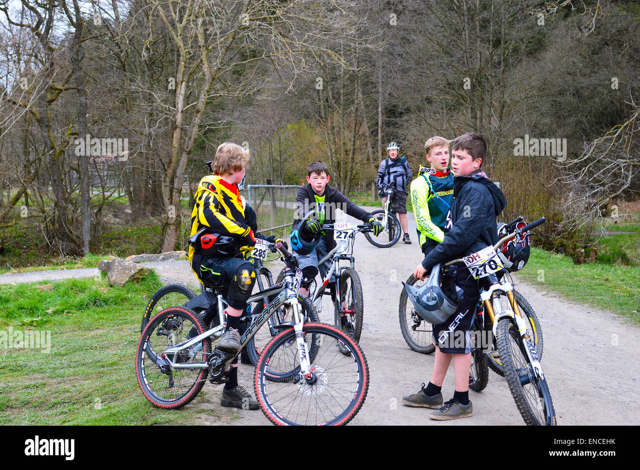 Fahrer während der nördlichen Abfahrt TT im Hamsterley Wald, Durham. Stockfoto