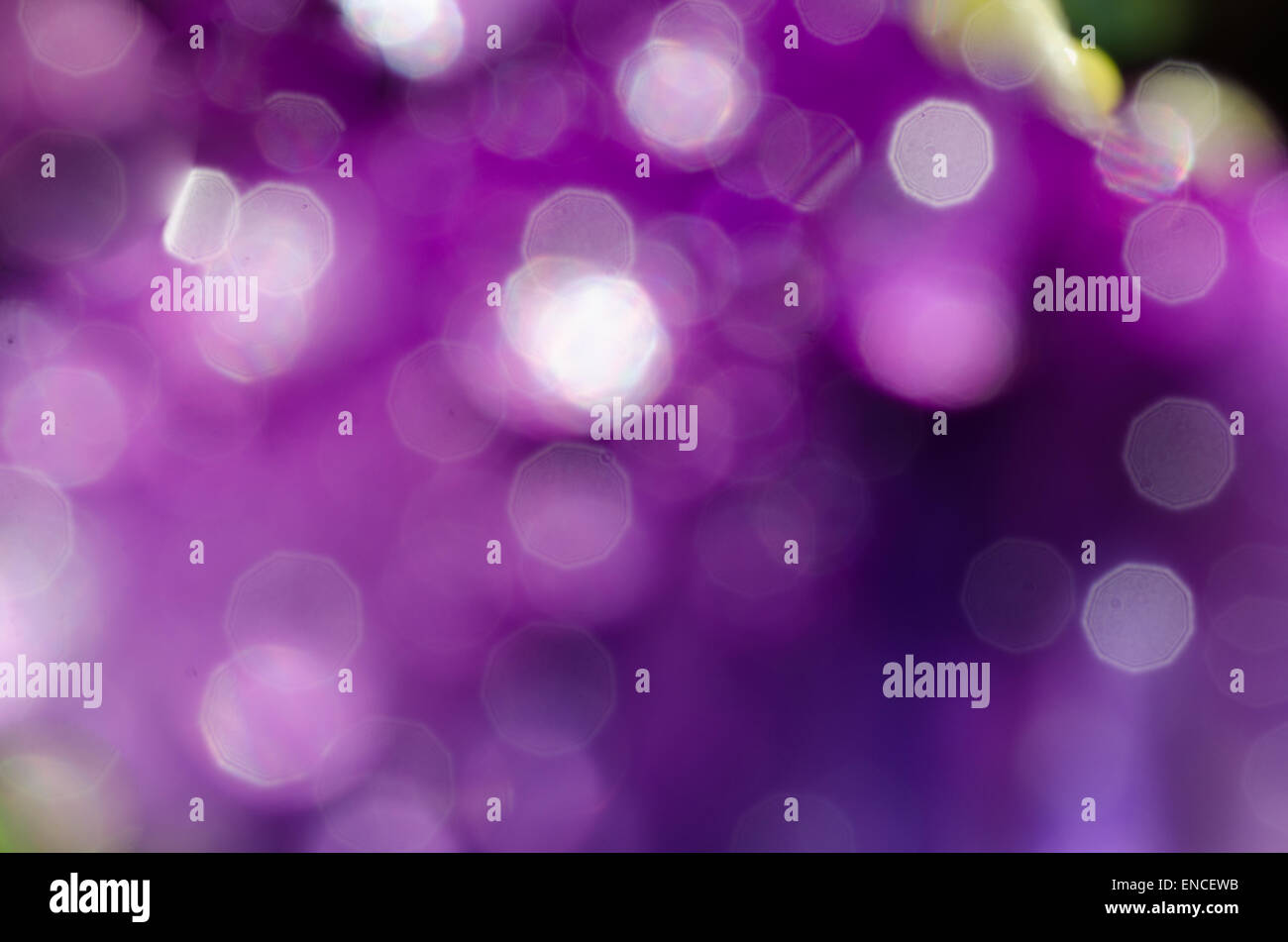 abstrakte Hintergrundunschärfe violett Stockfoto