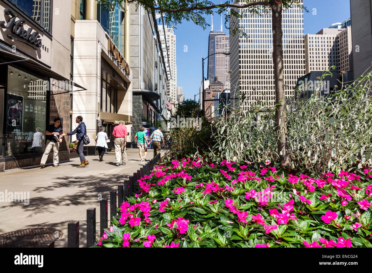 Chicago Illinois, Lower Michigan Avenue, Magnificent Mile, Skyline, Wolkenkratzer, Architekturpflanzer, Rosa, Blume, Baum, Stadtlandschaft, Kiehl's, Schaufenster, Stockfoto