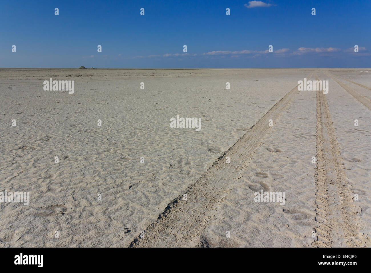 Ein 4wd Track auf einem Salinen in der Nähe von Kubu Island, Afrika. Stockfoto
