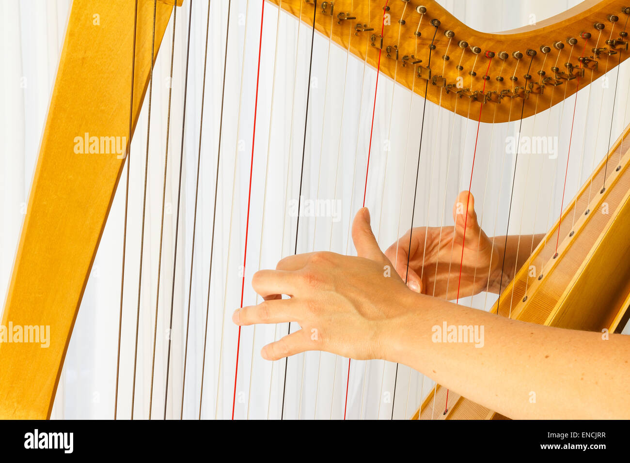 Schließen Sie, die Hände, die keltische Harfe zu spielen. Finger sind auf den Fallstricken. Stockfoto