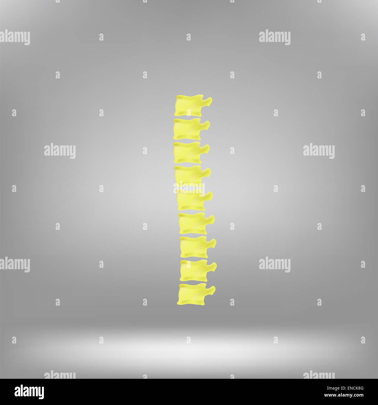 Symbol-Wirbelsäule Stockfoto