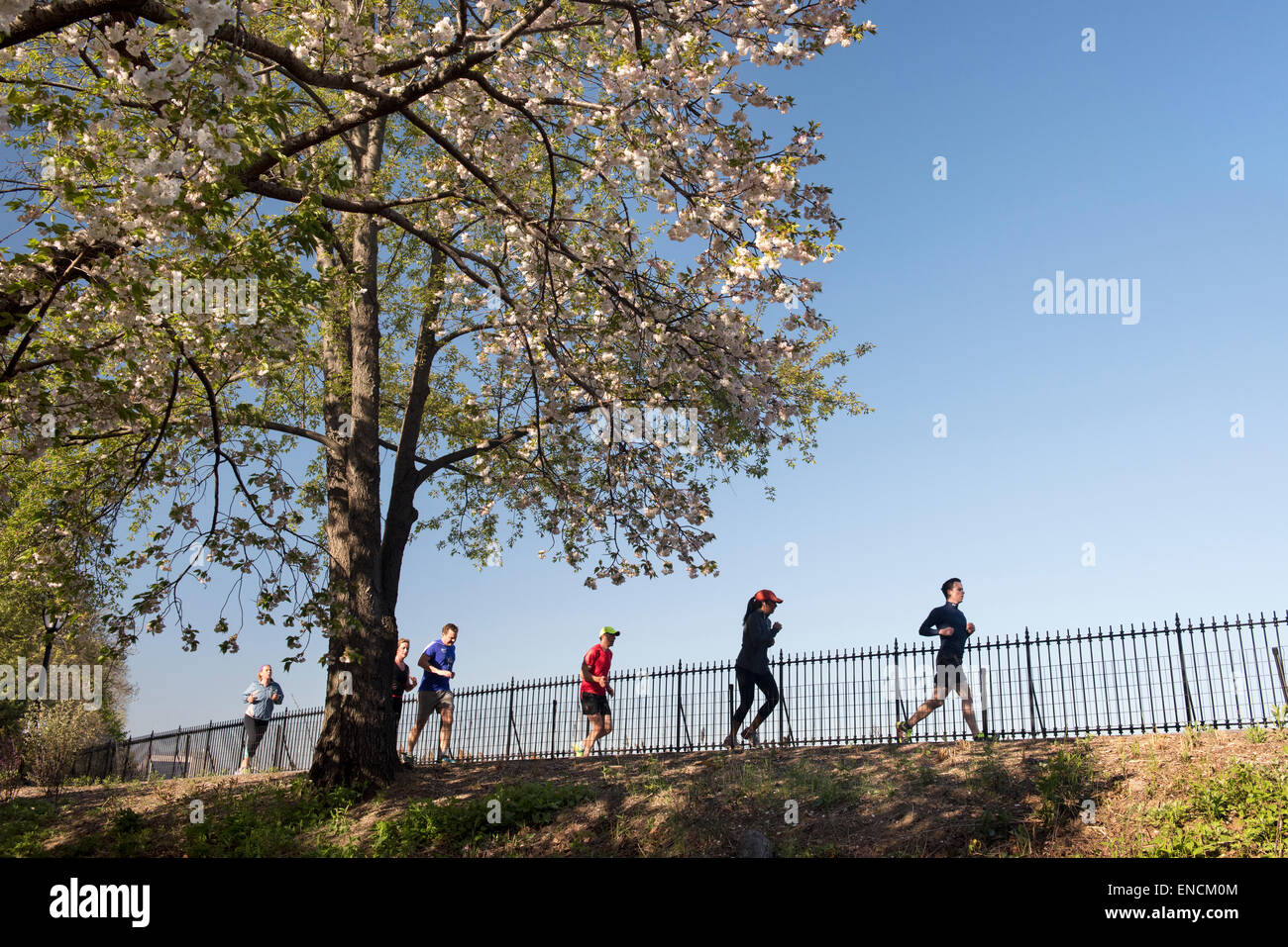 Läufer auf der Jacqueline Kennedy Onassis Reservoir im Central Park, New York früh an einem Frühlingsmorgen Stockfoto