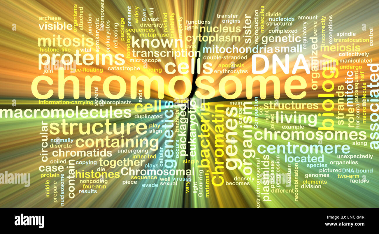 Hintergrund Text Muster Konzept Wordcloud Illustration von Chromosom gleißenden Licht Stockfoto