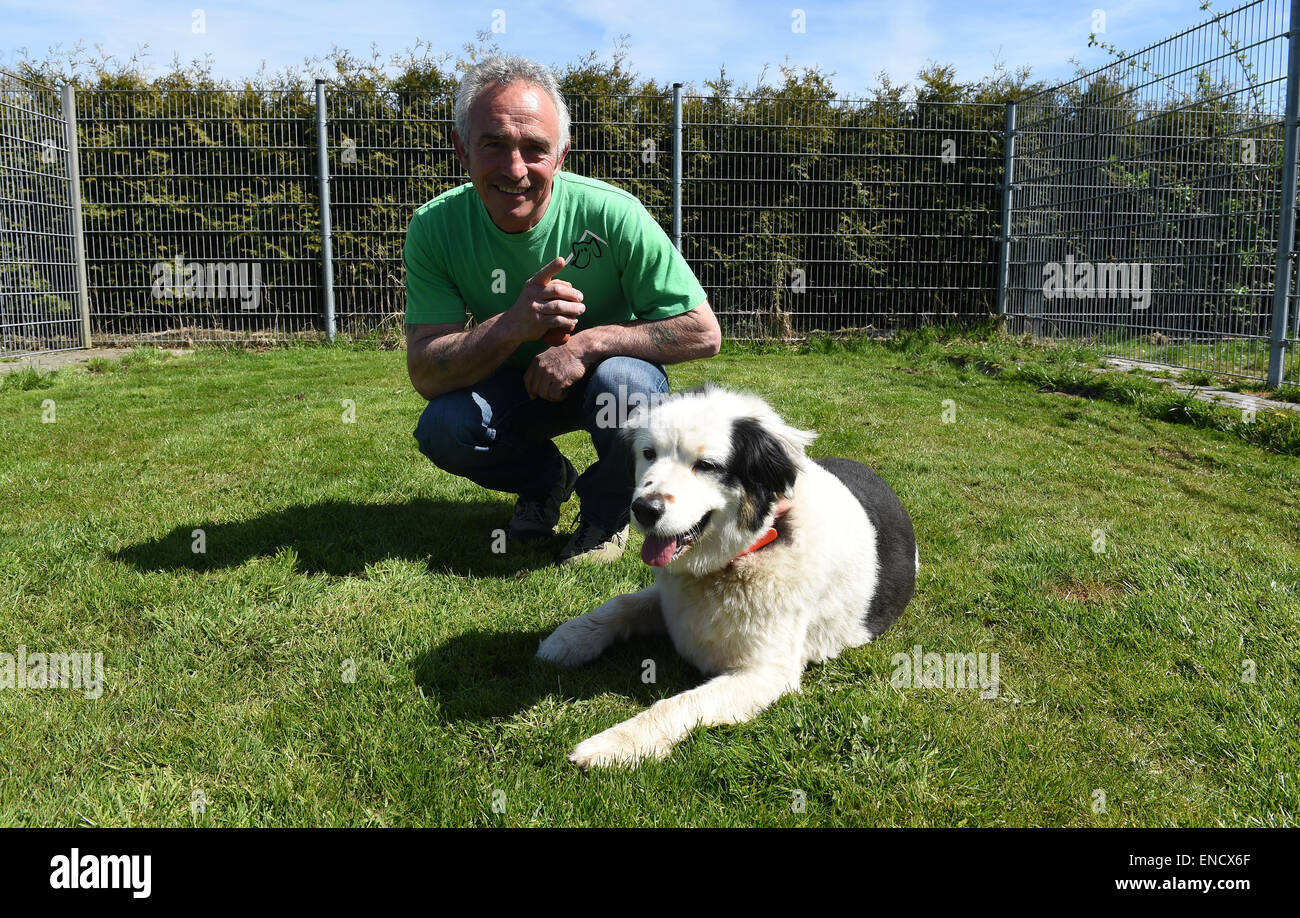 Struecklingen, Deutschland. 21. April 2015. Willem Bastinck Kniebeugen mit Knut den Hund auf einem Rasen an seine Feng Shui Hund Boardinghouse in Struecklingen, Deutschland, 21. April 2015. Feng Shui ist eine chinesische philosophische System der harmonisierende Leben mit Umgebung. Die Bastincks dachte, was für Menschen gut ist, auch Hunden helfen kann und so konfiguriert ihren Hund Boardinghouse nach den Regeln des Feng Shui. Foto: CARMEN JASPERSEN/Dpa/Alamy Live News Stockfoto