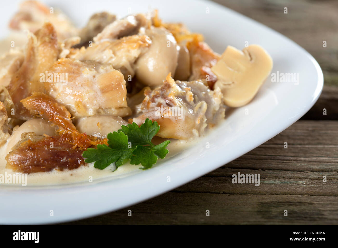 Huhn in einer cremigen Sauce mit Pilzen auf einem weißen Teller Eintopf Stockfoto
