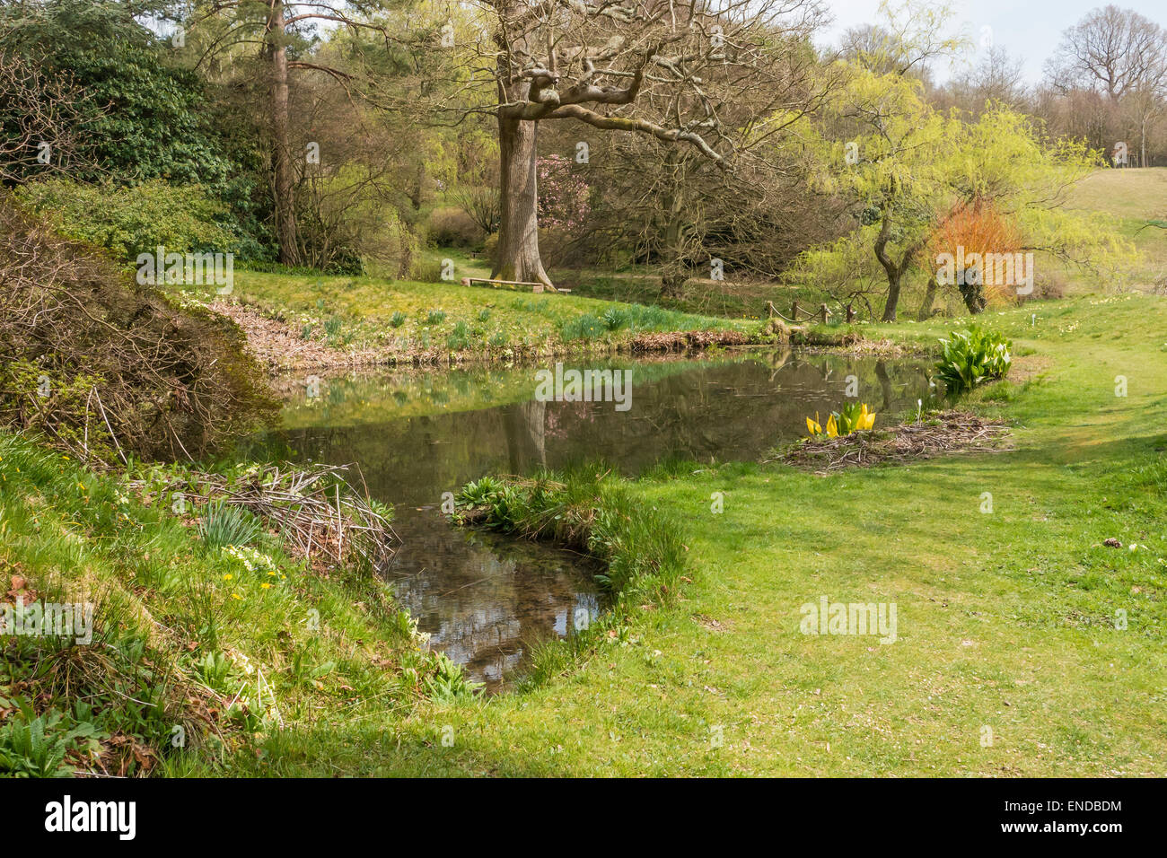 High Beeches Garten Handcross, Haywards Heath, West Sussex Stockfoto