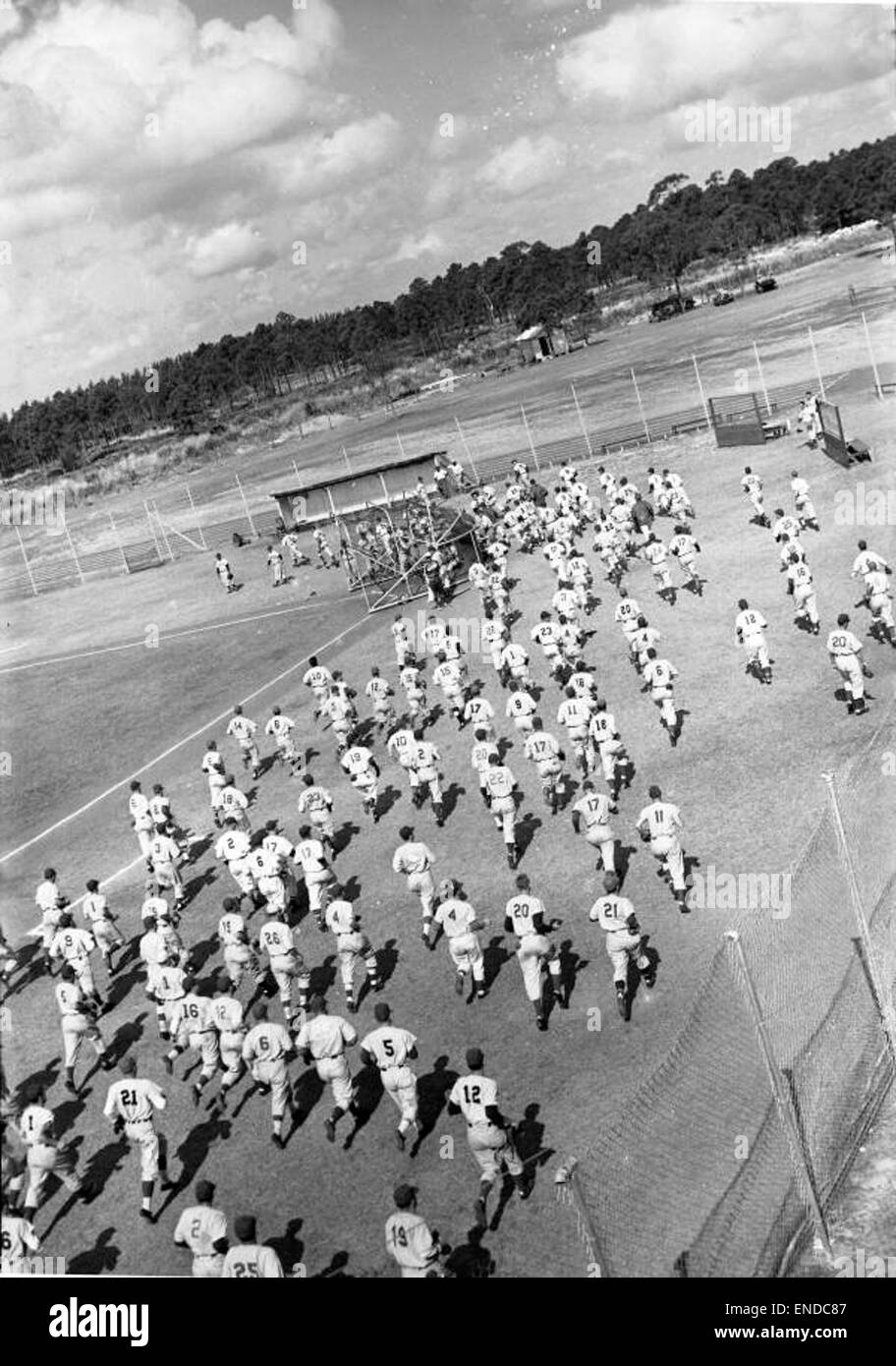 Dieses historische Bild zeigt die Spieler der Brooklyn Dodgers, die während des Frühjahrstrainings in Vero Beach, Florida, joggen. Das Foto zeigt die Vorbereitung des Teams auf die Baseballsaison und ihre Zeit in der Trainingseinrichtung. Stockfoto