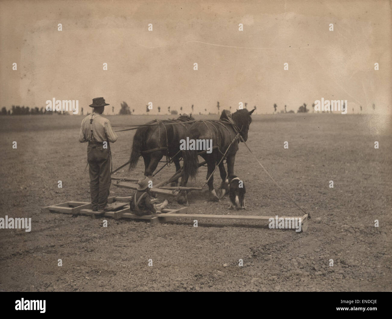 Dieses Kunstwerk aus dem Jahr 1909 zeigt Landmaschinen, die zur Nivellierung des Landes verwendet werden, und hebt die Industrialisierung der Landwirtschaft hervor. Kinder und Pferde werden gezeigt und veranschaulichen das ländliche Leben und die Werkzeuge, die in der Landwirtschaft des frühen 20. Jahrhunderts verwendet werden. Stockfoto