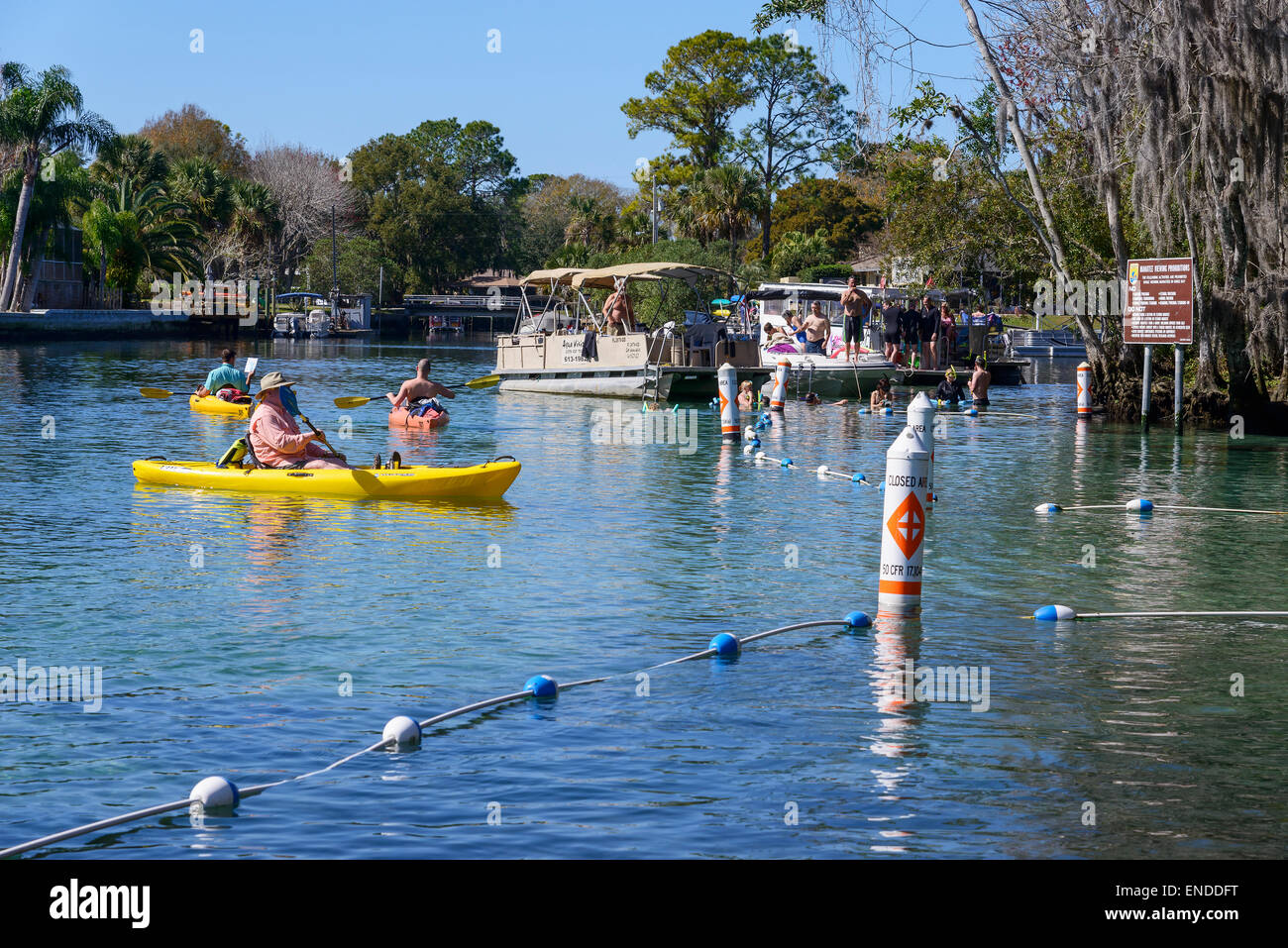 Touristen mit Booten in der Nähe von der Seekuh-Heiligtum von drei Schwestern, Kings Bay, Crystal River, Florida, Vereinigte Staaten von Amerika, USA Stockfoto