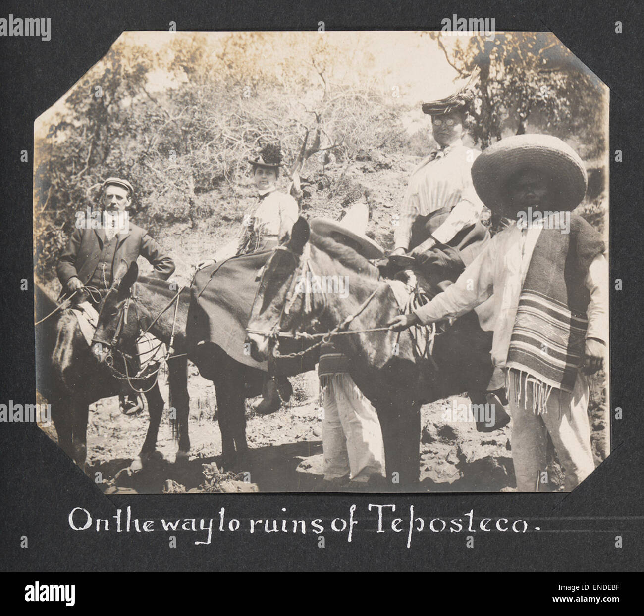 Dieses Foto zeigt Touristen, Reiseleiter und Pfadfinder, die auf Eseln zu den antiken Ruinen von Teposteco reisen, die sich in Mexiko befinden. Die Szene fängt die Mischung aus kulturellem Erbe und Tourismus ein, während Besucher die historische Stätte erkunden. Stockfoto