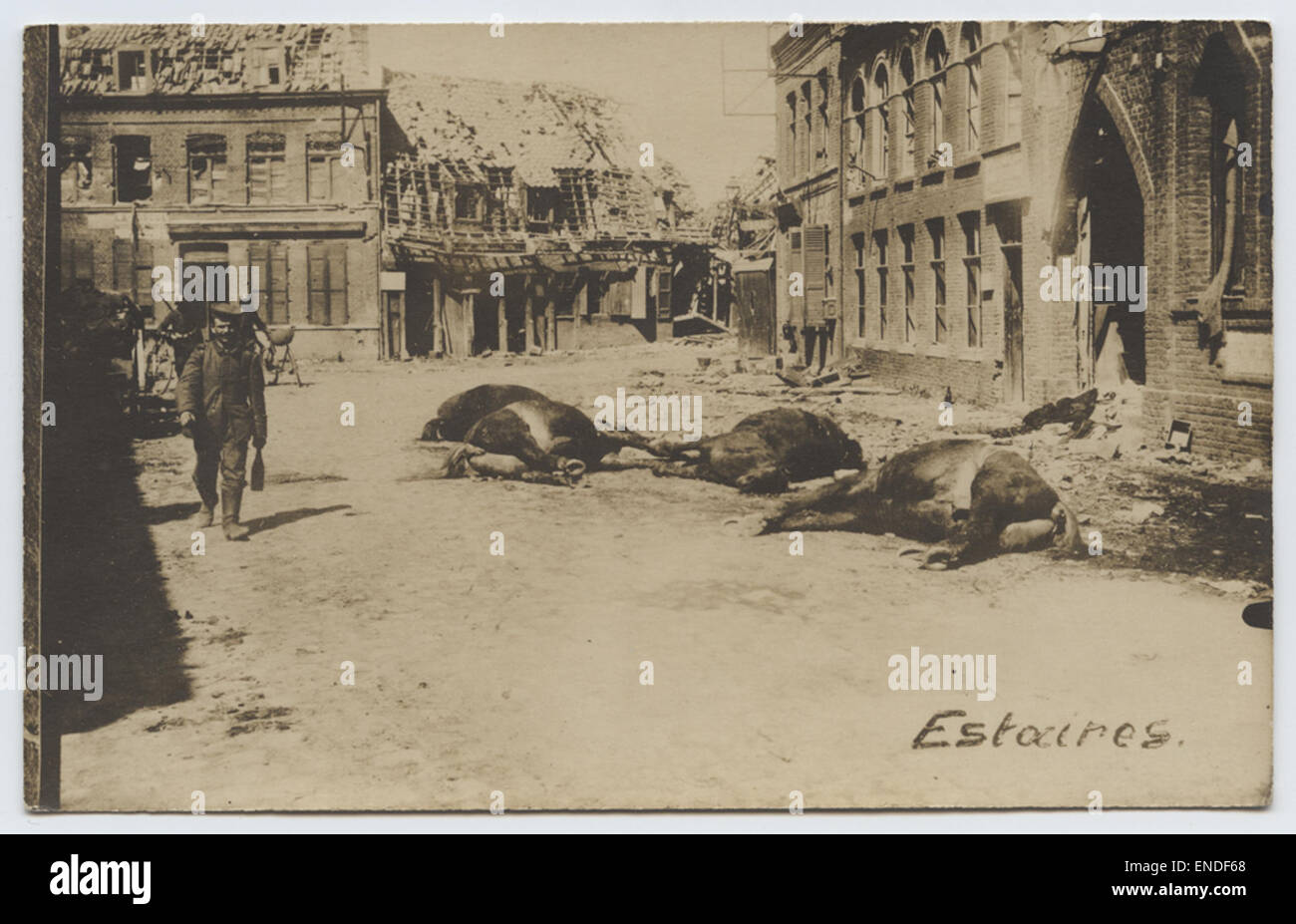 Diese echte Fotopostkarte zeigt deutsche Truppen während des Ersten Weltkriegs in Estland. Es zeigt den Tribut des Krieges, mit zerstörten Landschaften, toten Tieren und Militärpersonal inmitten der Trümmer des Ersten Weltkriegs. Stockfoto
